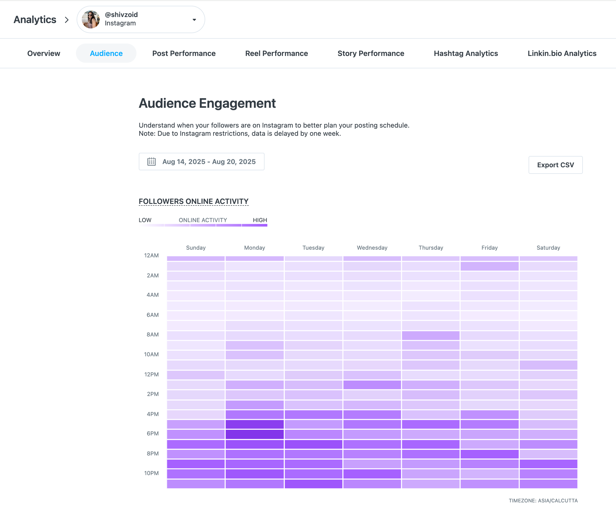 Later audience analytics showing Instagram follower activity heatmap by day and hour